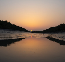 West Bengal tour packages