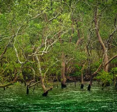West Bengal tourism packages